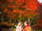 長野県駒ケ根市七五三下宮伸一写真事務所