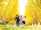 長野県駒ケ根市七五三下宮伸一写真事務所