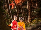 長野県駒ケ根市七五三下宮伸一写真事務所