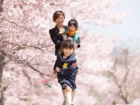 長野県駒ケ根入園入学卒業式ロケーションフォトスタジオ下宮伸一写真事務所高遠城址桜ロケ