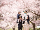 長野県駒ケ根入園入学卒業式ロケーションフォトスタジオ下宮伸一写真事務所高遠城址桜ロケ