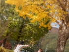長野駒ケ根家族写真節句子供写真｜下宮伸一写真事務所
