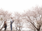 長野県駒ケ根市赤ちゃんから結婚式まで感動の写真館｜下宮伸一写真事務所