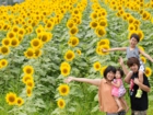 長野県駒ケ根市感動のフォトアルバム写真館｜下宮伸一写真事務所